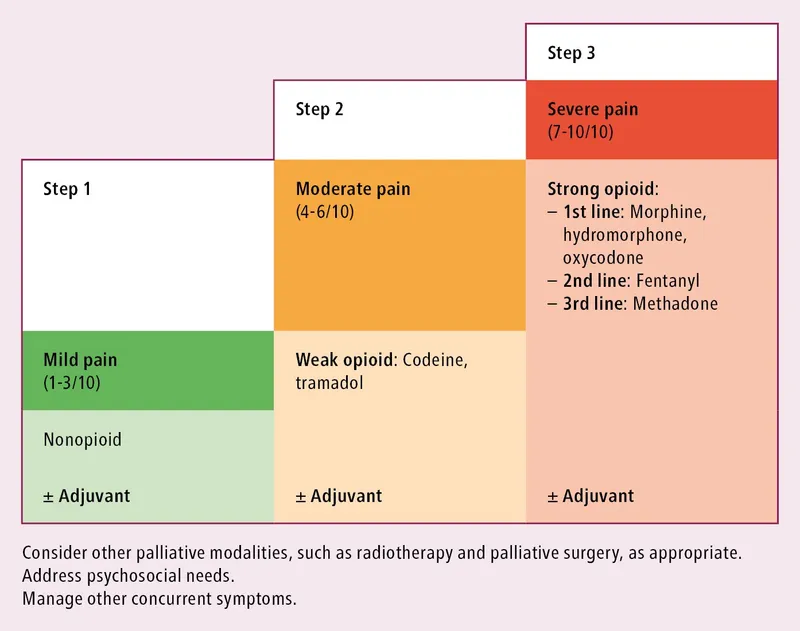 WHO Analgesic Ladder for Cancer Pain Management