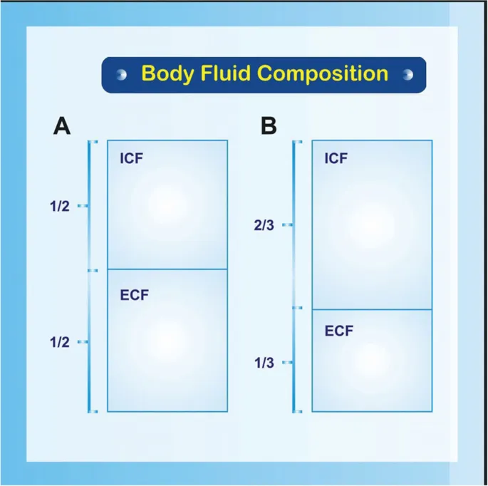 Body Fluid Composition: Pediatric vs Adult ICF and ECF
