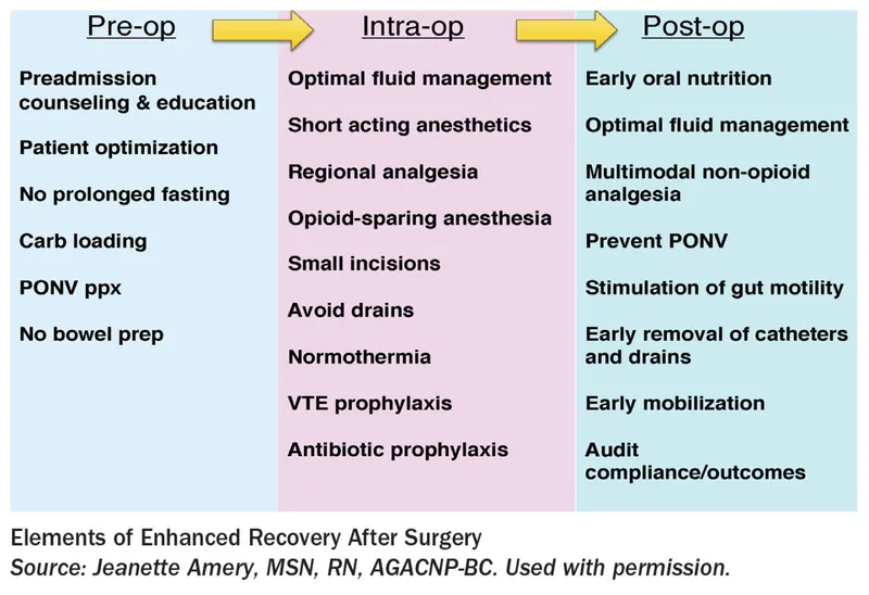 Elements of Enhanced Recovery After Surgery