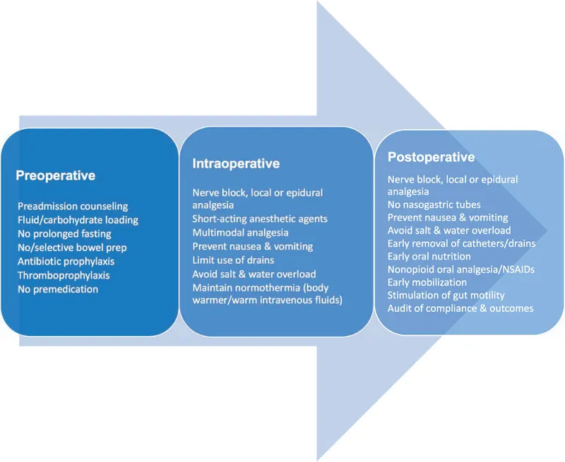 ERAS Protocol: Preoperative, Intraoperative, Postoperative