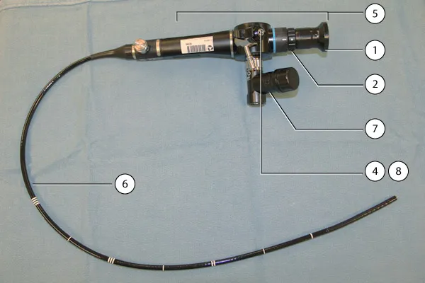 Fiberoptic bronchoscope components