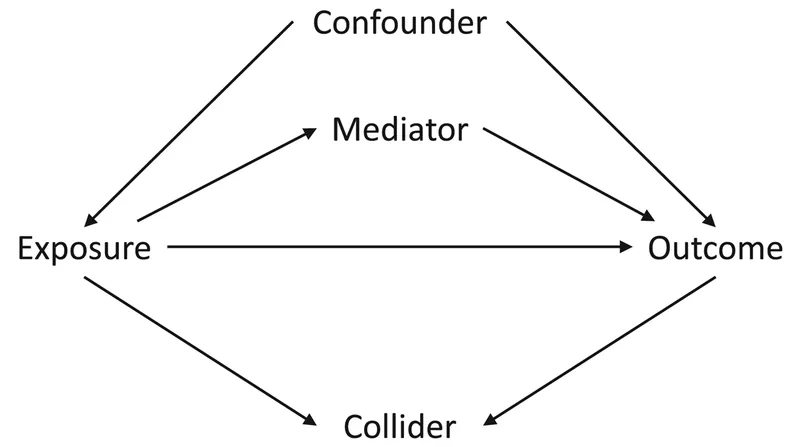 Causal diagram: Confounder, mediator, and collider