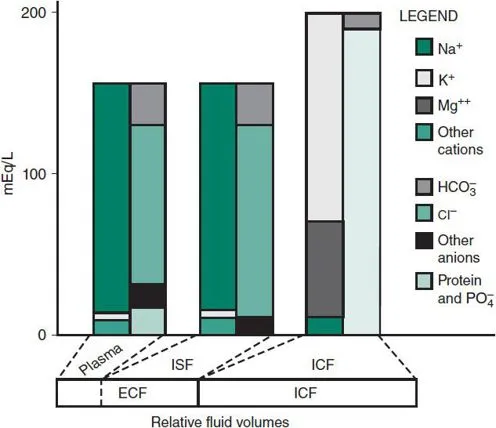 Electrolyte distribution in body fluid compartments