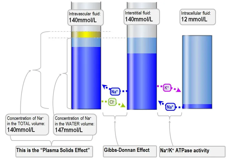 Body fluid compartments and electrolyte concentrations