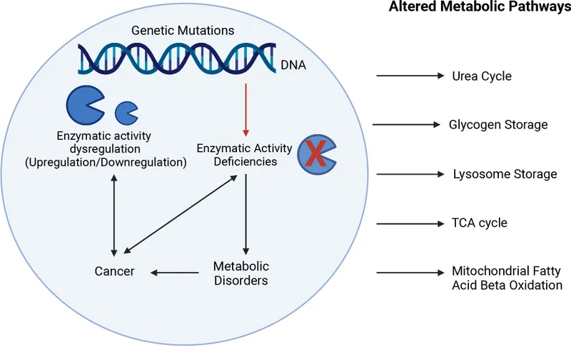 Genetic Mutations and Altered Metabolic Pathways