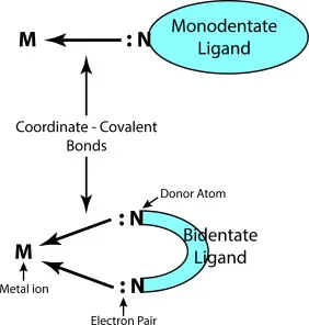 Chelation: Monodentate vs Bidentate Ligand Binding