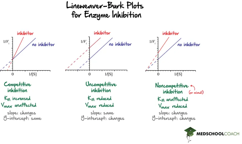 Lineweaver-Burk Plots for Enzyme Inhibition