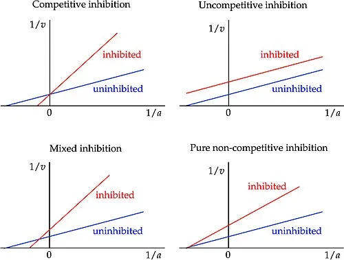 Lineweaver-Burk plots of enzyme inhibition