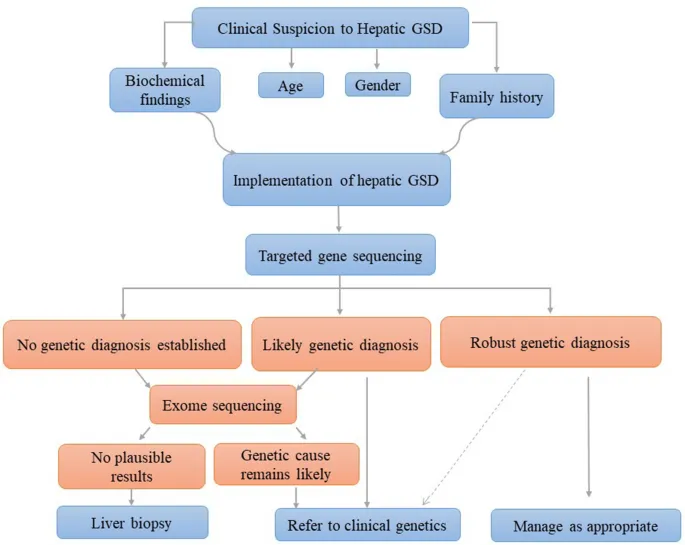 Diagnostic algorithm for hepatic glycogen storage diseases