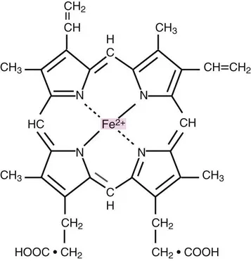 Chemical structure of Heme with central Fe2+