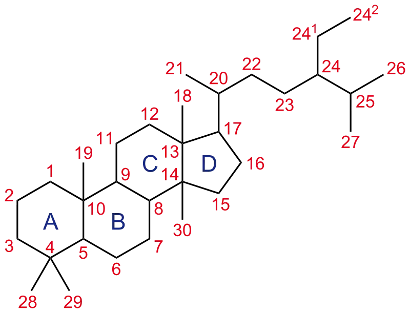 Steroid nucleus structure with carbon numbering
