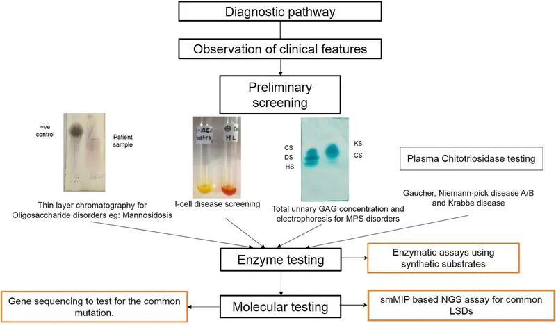 Diagnostic pathway for lysosomal storage diseases