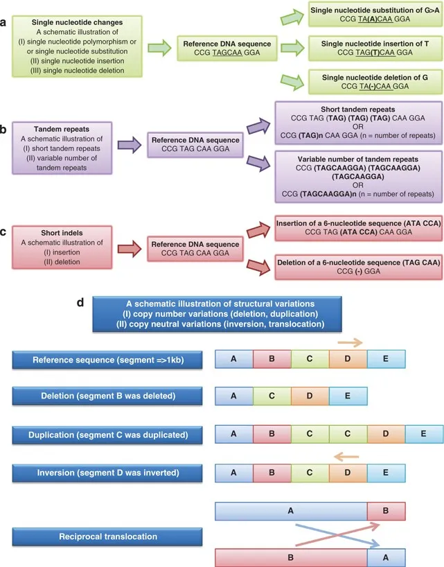 Genetic polymorphisms: SNP, indel, CNV, STR
