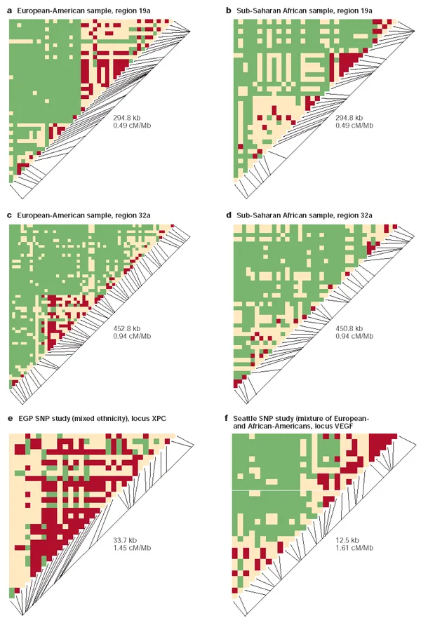 Linkage disequilibrium haplotype blocks across populations