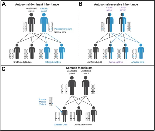 Autosomal Dominant, Recessive, and Somatic Mosaicism