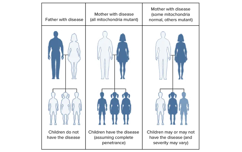 Mitochondrial Inheritance Pedigree