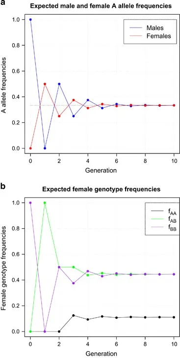 Allele and Genotype Frequencies Over Generations