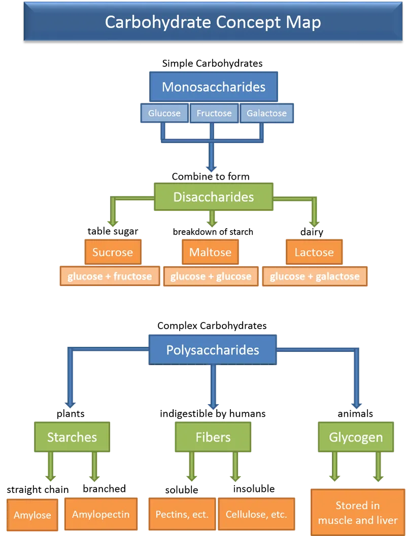 Carbohydrate Classification Concept Map