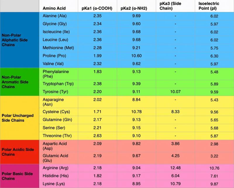 Amino Acid pKa and Isoelectric Point Table