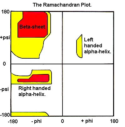 Ramachandran plot showing allowed phi and psi angles