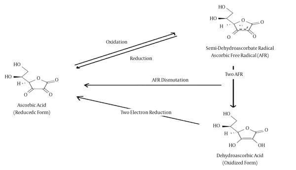 Vitamin C Oxidation and Reduction Cycle