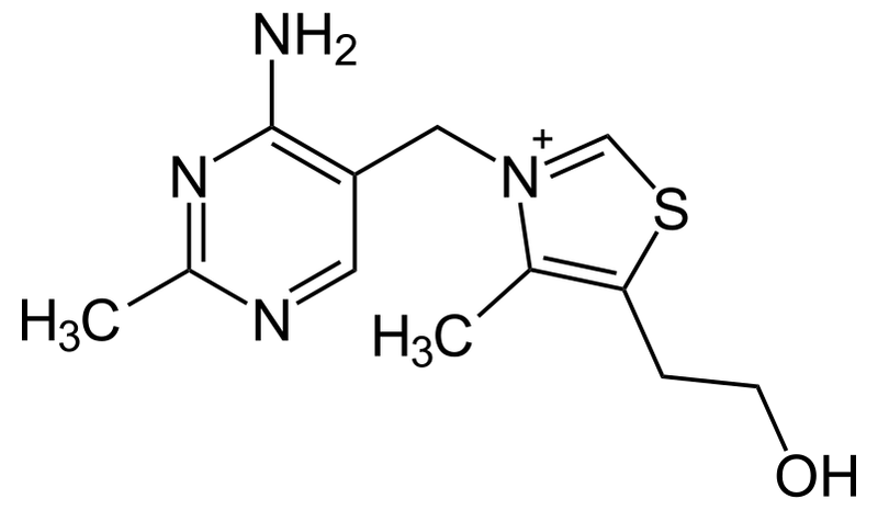 Thiamine (Vitamin B1) Structure