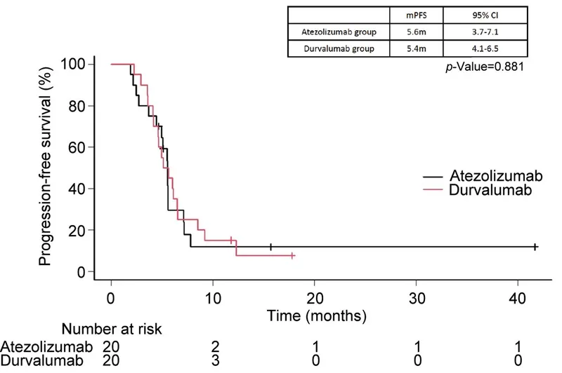 Kaplan-Meier curve: Progression-free survival