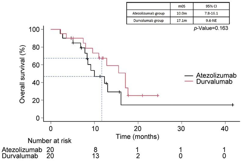 Kaplan-Meier curve: Atezolizumab vs. Durvalumab