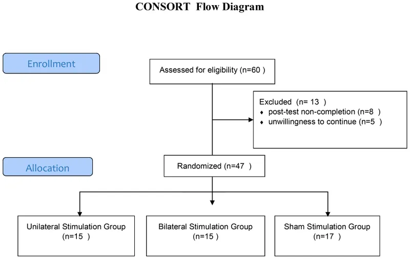 CONSORT Flow Diagram for an RCT