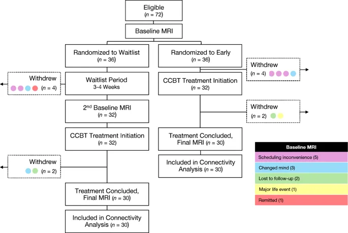 RCT Flow Diagram: Participant Progression and Attrition