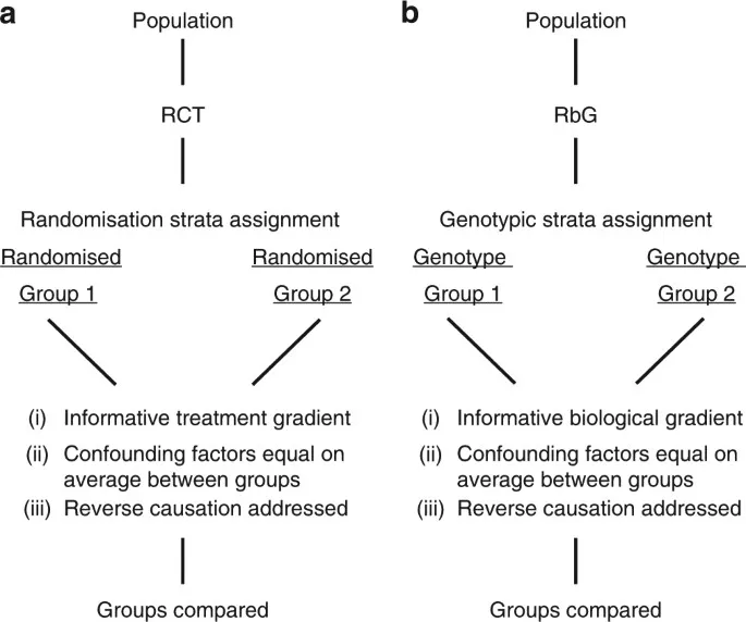 Randomization in RCTs vs. RbG: Confounder distribution