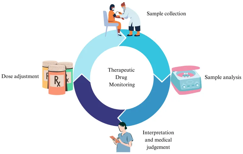 Therapeutic Drug Monitoring Cycle