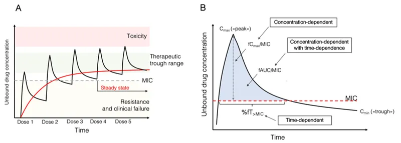 Drug concentration over time: therapeutic range and MIC