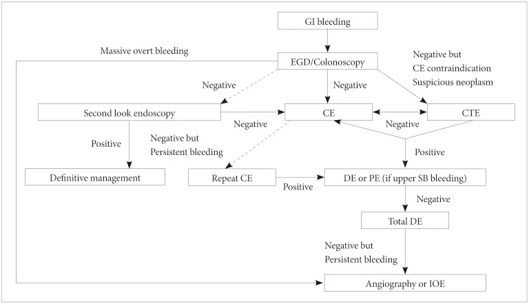 Algorithm for GI Bleeding Diagnostic Procedures
