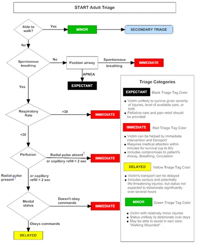 START Adult Triage Algorithm