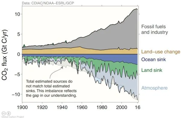 Carbon Dioxide Sources and Sinks Over Time