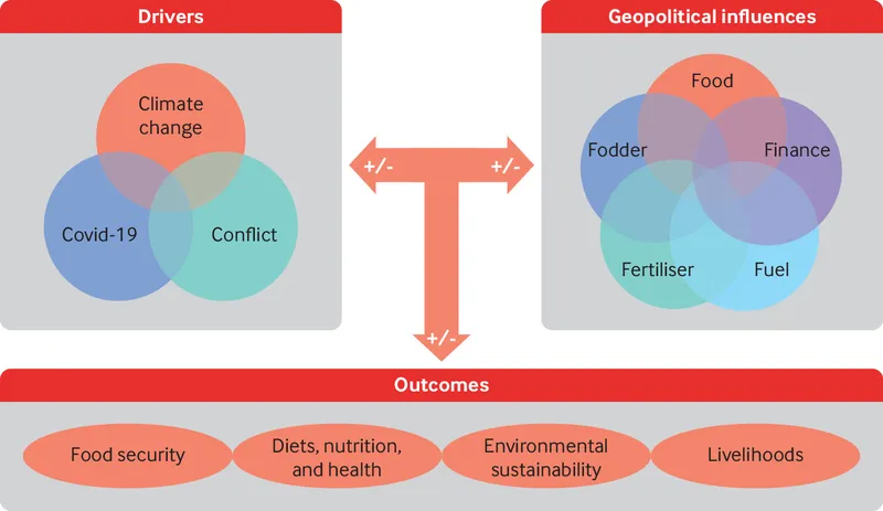 Drivers, influences, and outcomes of food security