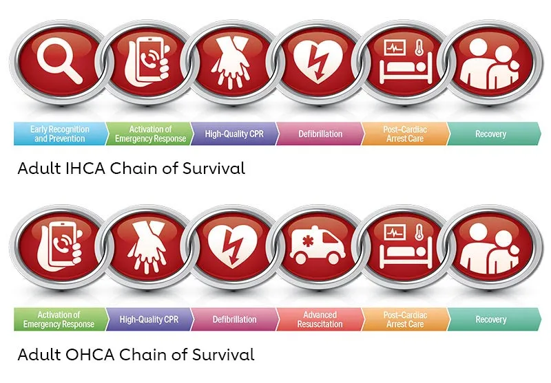 Adult IHCA and OHCA Chain of Survival diagrams