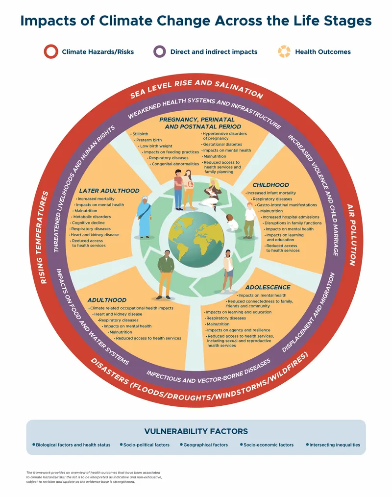 Climate Change Health Impacts Across Life Stages