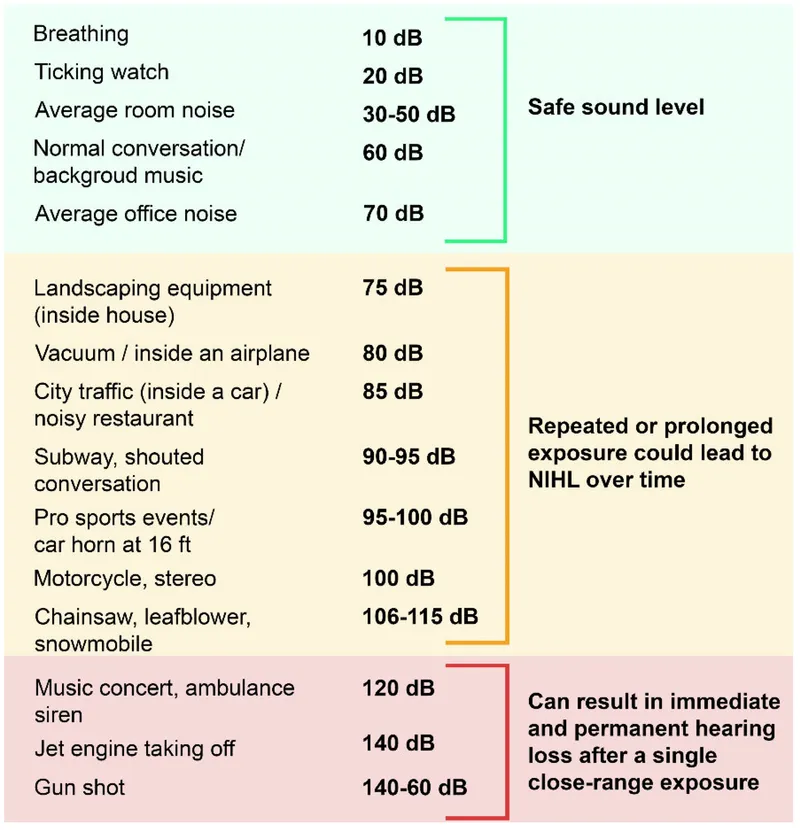 Noise Levels and Hearing Impact