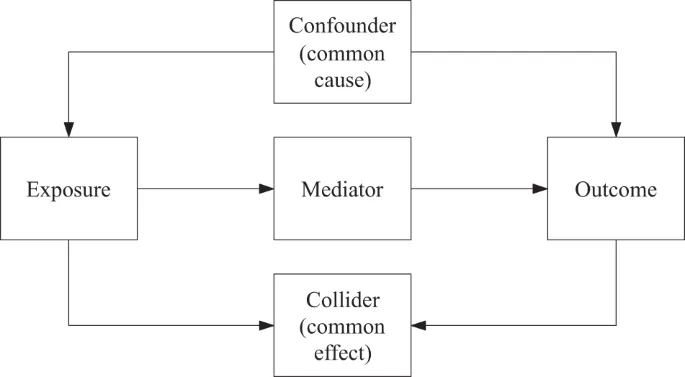 Confounder, Mediator, and Collider in Epidemiology