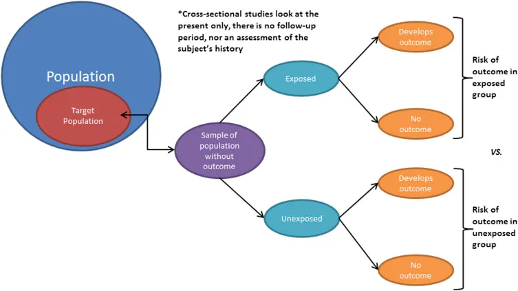 Cross-sectional study design schematic