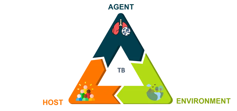 Epidemiological Triad: Agent, Host, Environment (TB)