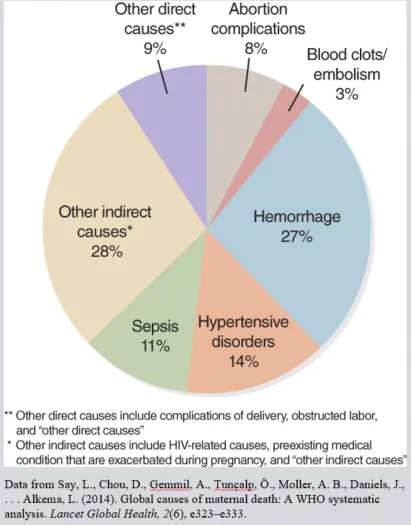 Global Causes of Maternal Death