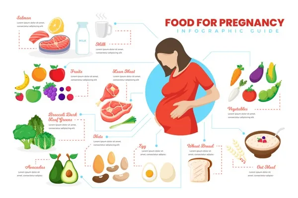 Balanced meal plate for pregnant women