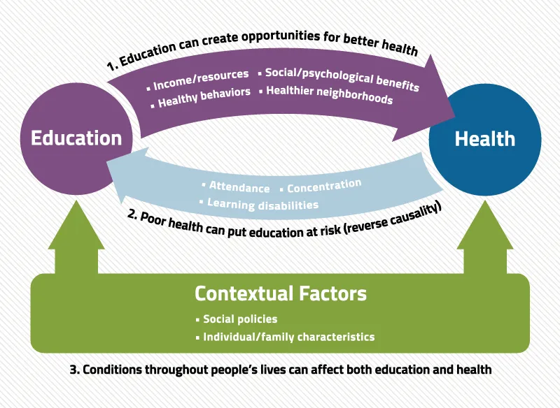 Urban Health Challenges Infographic