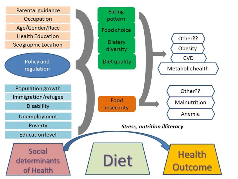 Determinants of Diet and Health Outcomes