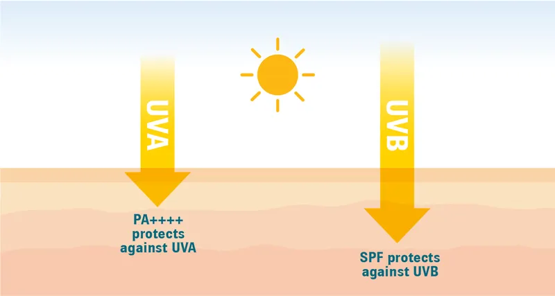 UVA vs UVB protection by PA and SPF ratings