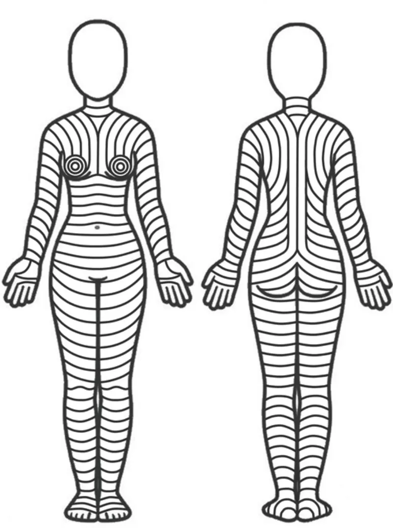Langer's lines on anterior and posterior body