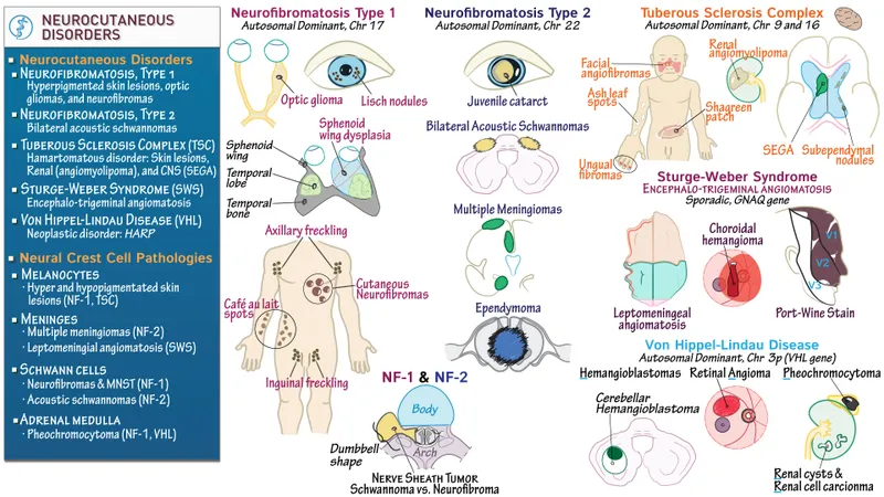 Neurocutaneous Disorders: NF1, NF2, TSC, SWS, VHL